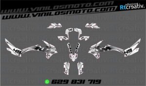 ADHESIVOS Y PEGATINAS DE VINILO KTM ADVENTURE Rt004-11
