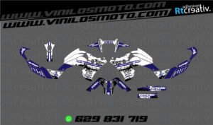 ADHESIVOS Y PEGATINAS DE VINILO YAMAHA TENERE Rt010-04