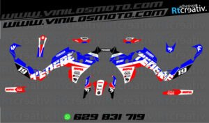 ADHESIVOS Y PEGATINAS DE VINILO YAMAHA TENERE Rt014-01
