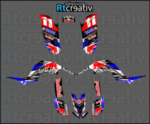 ADHESIVOS Y PEGATINAS DE VINILO PARA YAMAHA RAPTOR 660 Rt003-05