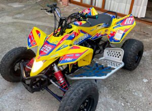 ADHESIVOS Y PEGATINAS DE VINILO PARA SUZUKI LTR 450 Rt011-01