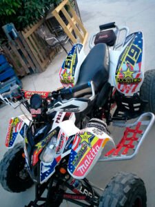 ADHESIVOS Y PEGATINAS DE VINILO PARA POLARIS PREDATOR 500 Rt001-01