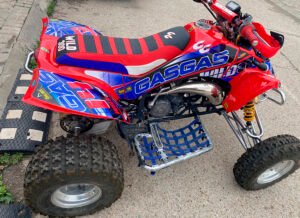 ADHESIVOS Y PEGATINAS DE VINILO PARA GAS GAS WILD Rt001-01