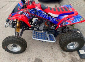 ADHESIVOS Y PEGATINAS DE VINILO PARA GAS GAS WILD Rt001-01