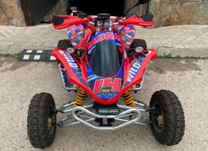 ADHESIVOS Y PEGATINAS DE VINILO PARA GAS GAS WILD Rt001-01