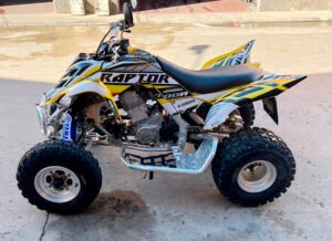 ADHESIVOS Y PEGATINAS DE VINILO PARA YAMAHA RAPTOR 700 Rt001-28