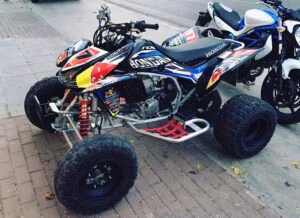 ADHESIVOS Y PEGATINAS DE VINILO PARA HONDA TRX 450 Rt002-01