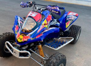 ADHESIVOS Y PEGATINAS DE VINILO PARA GAS GAS WILD Rt003-01