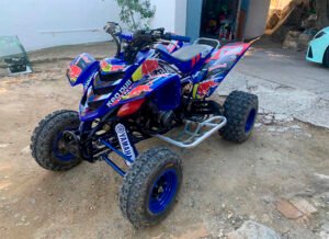 ADHESIVOS Y PEGATINAS DE VINILO PARA YAMAHA RAPTOR 660 Rt003-08