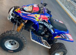 ADHESIVOS Y PEGATINAS DE VINILO PARA GAS GAS WILD Rt003-01