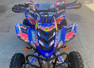 ADHESIVOS Y PEGATINAS DE VINILO PARA YAMAHA RAPTOR 660 Rt003-08