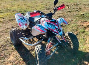 ADHESIVOS Y PEGATINAS DE VINILO PARA POLARIS PREDATOR 500 Rt003-01