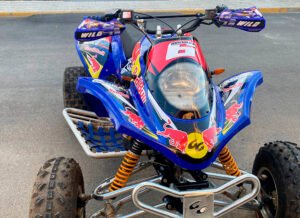 ADHESIVOS Y PEGATINAS DE VINILO PARA GAS GAS WILD Rt003-01