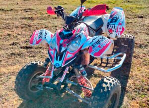 ADHESIVOS Y PEGATINAS DE VINILO PARA POLARIS PREDATOR 500 Rt003-01