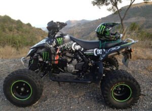 ADHESIVOS Y PEGATINAS DE VINILO PARA SUZUKI LTR 450 Rt006-10