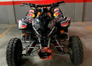 ADHESIVOS Y PEGATINAS DE VINILO PARA POLARIS PREDATOR 500 Rt006-01