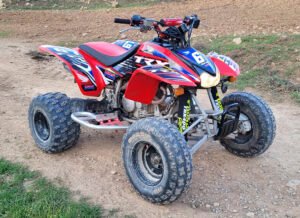 ADHESIVOS Y PEGATINAS DE VINILO PARA HONDA TRX 400 Rt007-01