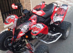 ADHESIVOS Y PEGATINAS DE VINILO PARA POLARIS PREDATOR 500 Rt008-01
