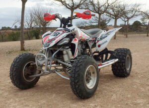 ADHESIVOS Y PEGATINAS DE VINILO PARA YAMAHA YFZ 450 Rt008-01