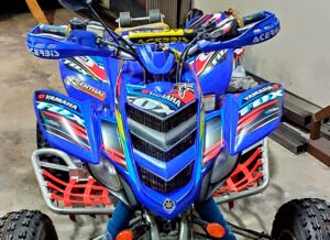 ADHESIVOS Y PEGATINAS DE VINILO PARA YAMAHA RAPTOR 660 Rt009-01