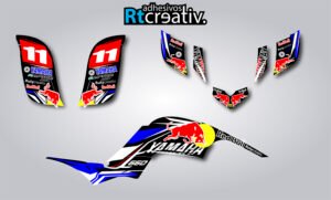 ADHESIVOS Y PEGATINAS DE VINILO PARA YAMAHA RAPTOR 660 Rt003-01