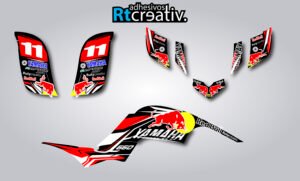 ADHESIVOS Y PEGATINAS DE VINILO PARA YAMAHA RAPTOR 660 Rt003-02