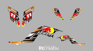 ADHESIVOS Y PEGATINAS DE VINILO PARA YAMAHA RAPTOR 700 Rt004-02