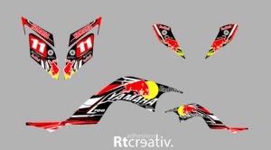 ADHESIVOS Y PEGATINAS DE VINILO PARA YAMAHA RAPTOR 700 Rt004-03