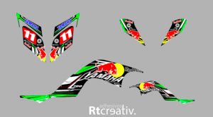 ADHESIVOS Y PEGATINAS DE VINILO PARA YAMAHA RAPTOR 700 Rt004-04