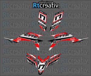 ADHESIVOS Y PEGATINAS DE VINILO PARA YAMAHA YFZ 450 Rt006-04