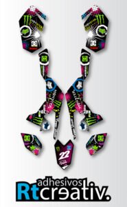 ADHESIVOS Y PEGATINAS DE VINILO PARA SUZUKI LTR 450 Rt006-09