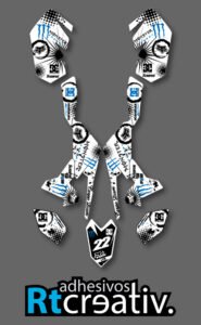 ADHESIVOS Y PEGATINAS DE VINILO PARA SUZUKI LTR 450 Rt006-11