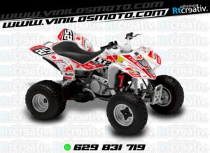 ADHESIVOS Y PEGATINAS DE VINILO PARA SUZUKI LTZ 400 Rt015-01