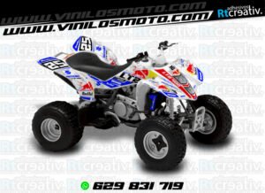 ADHESIVOS Y PEGATINAS DE VINILO PARA SUZUKI LTZ 400 Rt015-02
