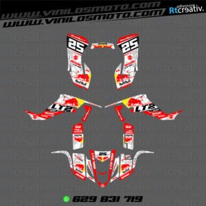 ADHESIVOS Y PEGATINAS DE VINILO PARA SUZUKI LTZ 400 Rt015-01