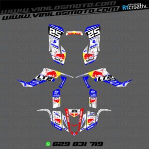 ADHESIVOS Y PEGATINAS DE VINILO PARA SUZUKI LTZ 400 Rt015-02