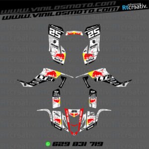 ADHESIVOS Y PEGATINAS DE VINILO PARA SUZUKI LTZ 400 Rt015-03