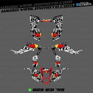 ADHESIVOS Y PEGATINAS DE VINILO PARA SUZUKI LTZ 400 Rt015-04