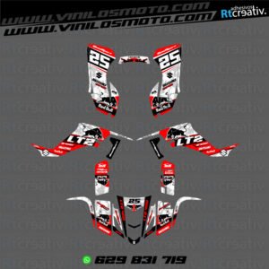 ADHESIVOS Y PEGATINAS DE VINILO PARA SUZUKI LTZ 400 Rt015-07