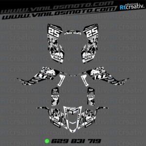 ADHESIVOS Y PEGATINAS DE VINILO PARA SUZUKI LTZ 400 Rt015-08