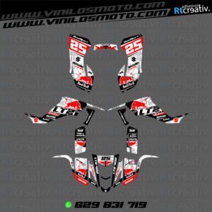 ADHESIVOS Y PEGATINAS DE VINILO PARA SUZUKI LTZ 400 Rt015-09