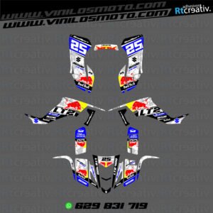 ADHESIVOS Y PEGATINAS DE VINILO PARA SUZUKI LTZ 400 Rt015-10