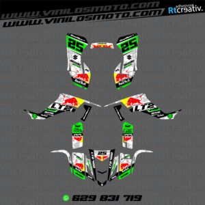 ADHESIVOS Y PEGATINAS DE VINILO PARA SUZUKI LTZ 400 Rt015-11