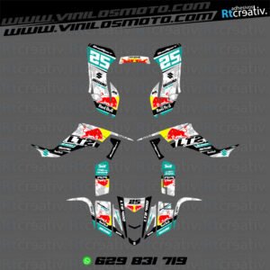 ADHESIVOS Y PEGATINAS DE VINILO PARA SUZUKI LTZ 400 Rt015-12
