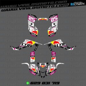 ADHESIVOS Y PEGATINAS DE VINILO PARA SUZUKI LTZ 400 Rt015-14