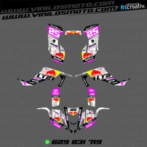 ADHESIVOS Y PEGATINAS DE VINILO PARA SUZUKI LTZ 400 Rt015-15