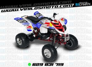 ADHESIVOS Y PEGATINAS DE VINILO PARA YAMAHA RAPTOR 660 Rt004-02