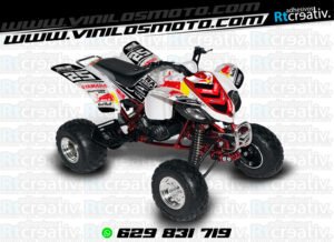ADHESIVOS Y PEGATINAS DE VINILO PARA YAMAHA RAPTOR 660 Rt004-03