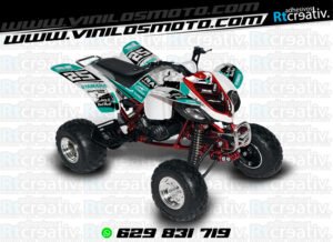 ADHESIVOS Y PEGATINAS DE VINILO PARA YAMAHA RAPTOR 660 Rt004-05