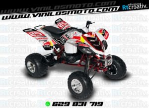 ADHESIVOS Y PEGATINAS DE VINILO PARA YAMAHA RAPTOR 660 Rt004-12